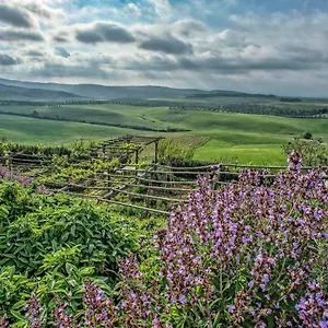  Bed & Breakfast Le Tassinaie Italia
